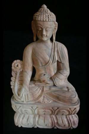 Medicine Buddha WBUDDHA25