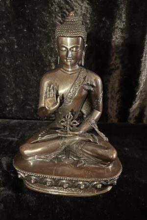 Amoghasiddhi Buddha statue 23cm