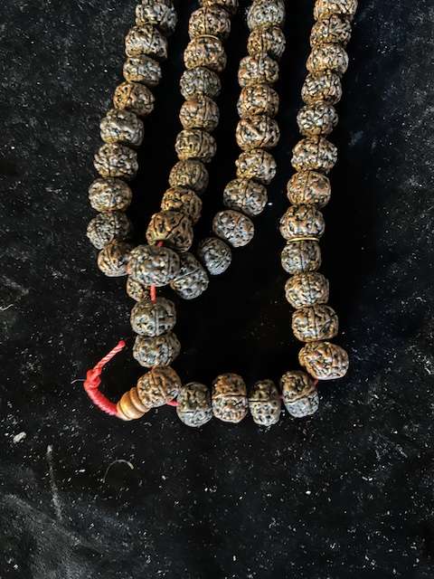 Rudraksha seed Mala 15mm - Buddhist Images